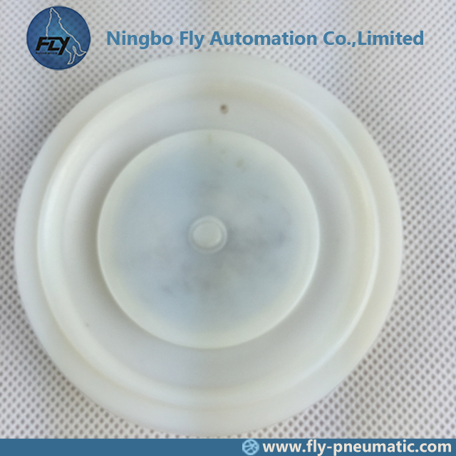 M/D25 Autel Pulse Solenoid Valve 1 Inch AE1825B1 AE1825I06 AE2825I06 Membrane Repair Kit