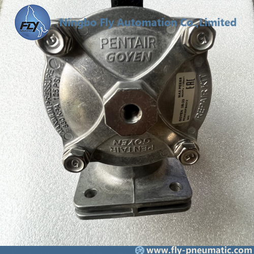Goyen RCAC25FS4 RCAC25FS4012 FS Series 1" Pulse Jet Valve