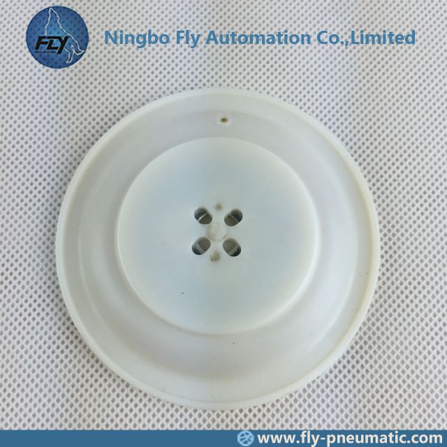 M/D25 Autel Pulse Solenoid Valve 1 Inch AE1825B1 AE1825I06 AE2825I06 Membrane Repair Kit