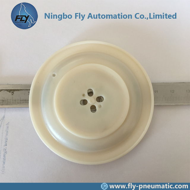 M/D25 Autel Pulse Solenoid Valve 1 Inch AE1825B1 AE1825I06 AE2825I06 Membrane Repair Kit