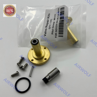 M1177 CA40TK Pulse valve Solenoid Pilot Group Repair Kit Plunger Armature 