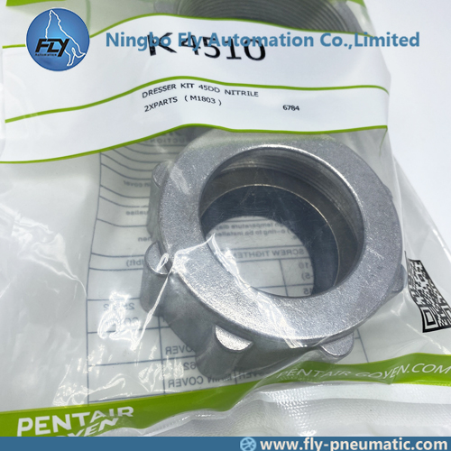 Goyen K4510 Pulse valve CA45DD RCA45DD Dresser Seal Kit 1 dresser seal, 1 dresser nut, 1 seal retainer